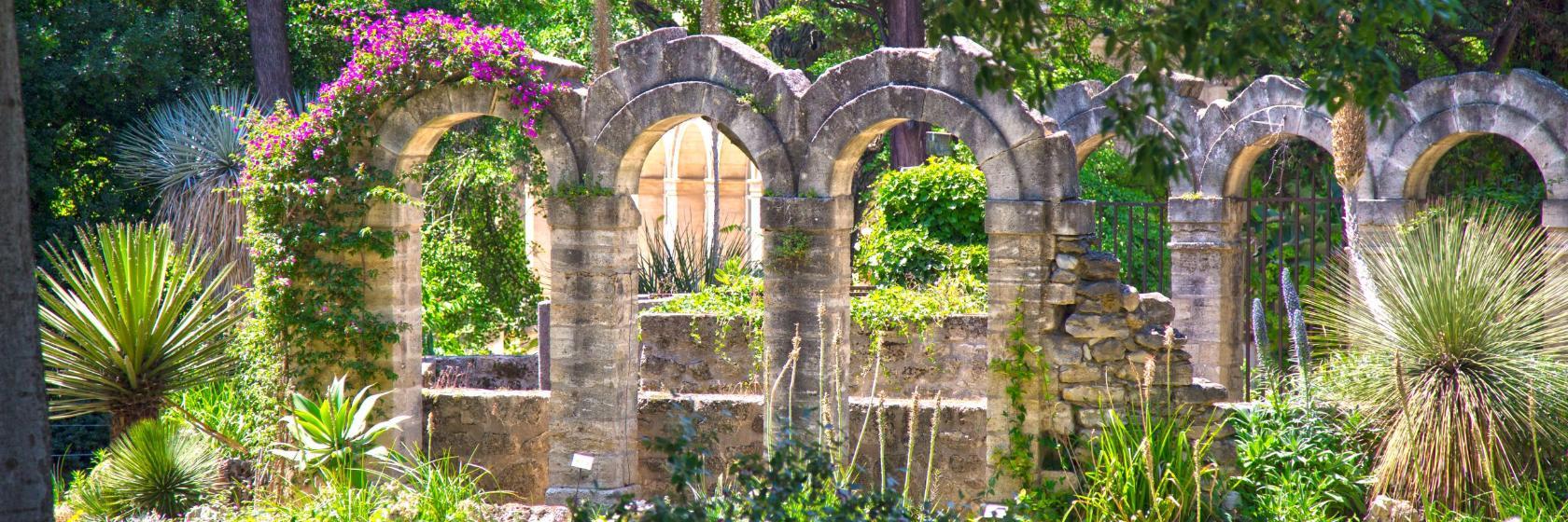 Jardín botánico de Montpellier